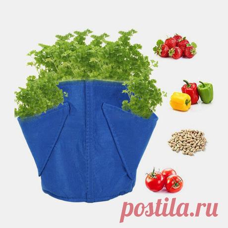 Фетровая посадка Сумки Зеленая посадка Бочки Цветы и растения Рассада Сумки