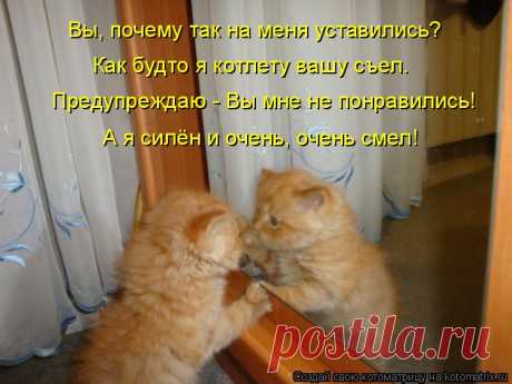 ПРЕДУПРЕЖДАЮ...
