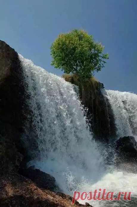 PeqCi