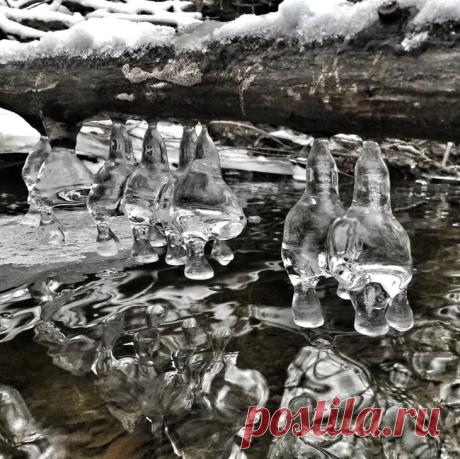55 «ледяных» фото, которые доказывают, что природа — лучший художник!