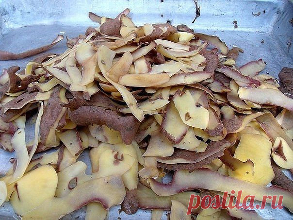 (50) Одноклассники