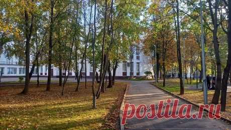 Почему родительские чаты нас бесят и нам же вредят
На днях в Санкт-Петербурге была массовая драка с перестрелкой, причина — ссора...
Читай пост далее на сайте. Жми ⏫ссылку выше