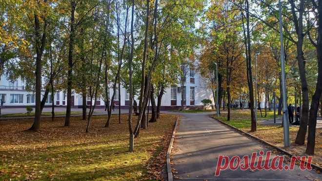 Почему родительские чаты нас бесят и нам же вредят
На днях в Санкт-Петербурге была массовая драка с перестрелкой, причина — ссора...
Читай пост далее на сайте. Жми ⏫ссылку выше
