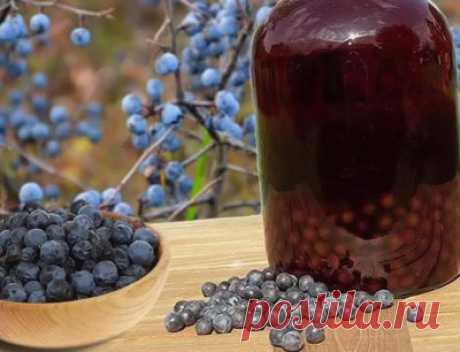Вино из терна в домашних условиях: рецепты классический, простой, с дрожжами - Onwomen.ru
