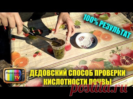 КИСЛОТНОСТЬ ПОЧВЫ ПРОВЕРЯЮ ДЕДОВСКИМ МЕТОДОМ 100% РЕЗУЛЬТАТ