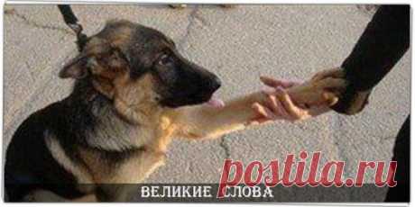 Великие слова | Цитаты, Мысли и Афоризмы