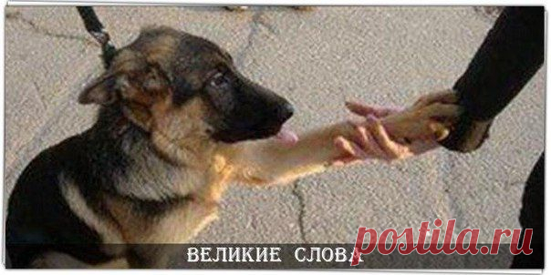 Великие слова | Цитаты, Мысли и Афоризмы