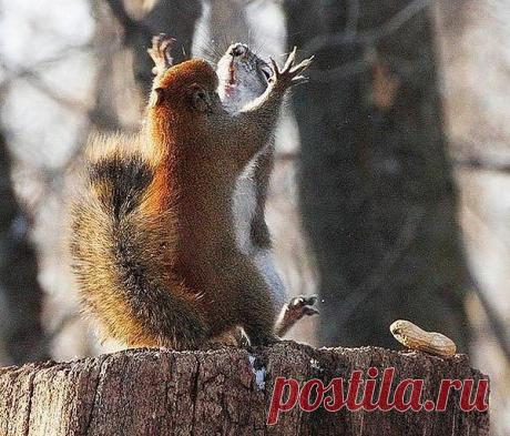 Мой Мир@Mail.Ru