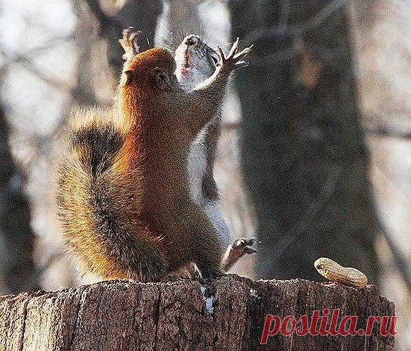 Мой Мир@Mail.Ru