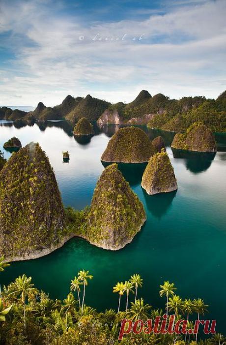 Raja Ampat, Papua, Indonesia. | Oh the Places I'll Go