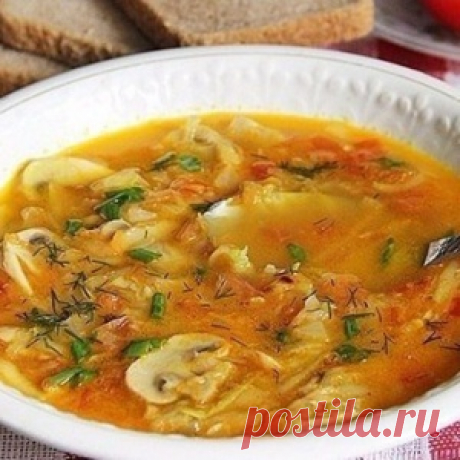 Вкусный кабачковый суп с грибами. Гурманы оценят!