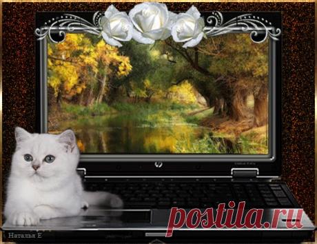 0_88d86_c4ff3c3d_orig (600×462)