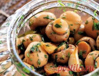 Какие специи нужны для маринования и засолки грибов: магазинные смеси, рецепт приправы своими руками - Onwomen.ru