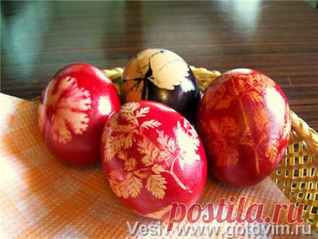 Крашеные яйца (с листиками петрушки). Рецепт с фото / Готовим.РУ