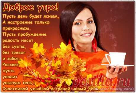 Новые фотографии