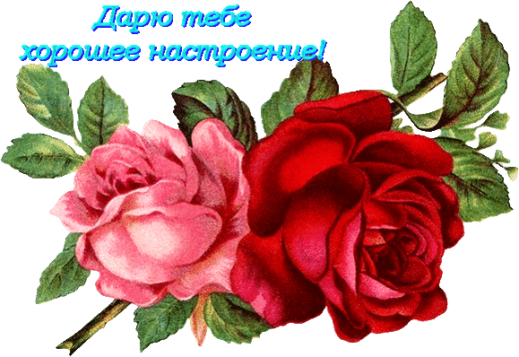 *♥* ~Pavlina~ *♥* - Актюбинск, Актюбинская область, Казахстан на Мой Мир@Mail.ru
