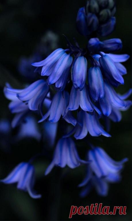 i (647×1080)