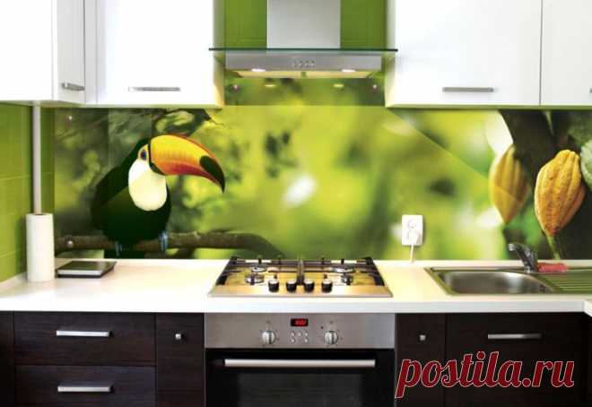 Стеклянные панели с принтами для кухни — Наши дома