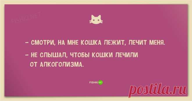 25 смешных анекдотов про кошек и котов