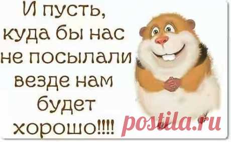 Новые фотографии