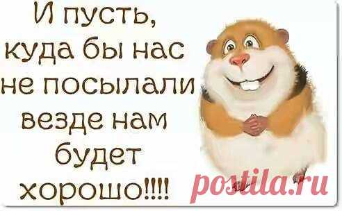 Новые фотографии