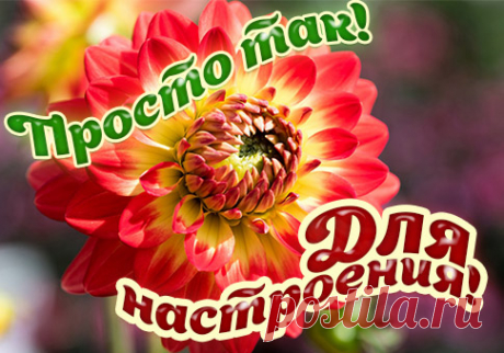 Открытки бесплатно | Минутта