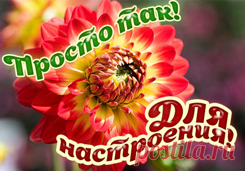 Открытки бесплатно | Минутта