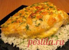 Куриное филе под сметанно-чесночным соусом : Птица : Кулинарные рецепты со всего мира