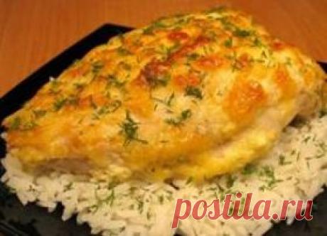 Куриное филе под сметанно-чесночным соусом : Птица : Кулинарные рецепты со всего мира