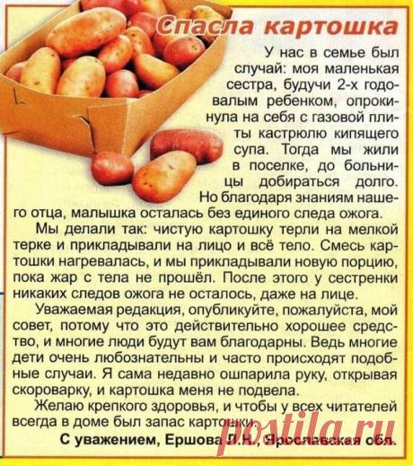 Письмо «цитата Belenaya : Спасла картошка (16:41 30-08-2015) [5285951/370605057]» — Belenaya — Яндекс.Почта