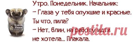 Правда жизни в картинках-3