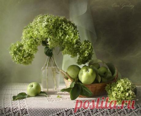 Натюрморты от ELEN GARDZEY