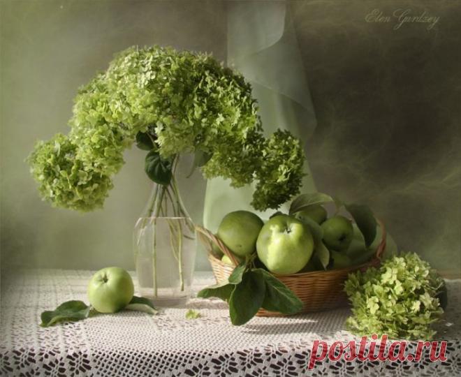 Натюрморты от ELEN GARDZEY