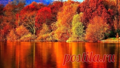 image (640×360)