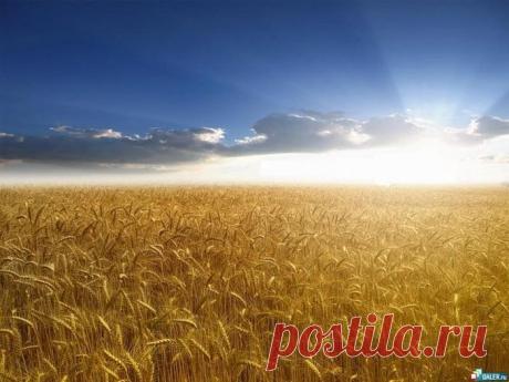 Красочные и яркие обои