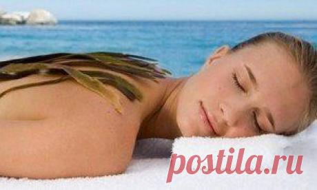 Возможно ли похудение с помощью ламинарии? — Диеты со всего света