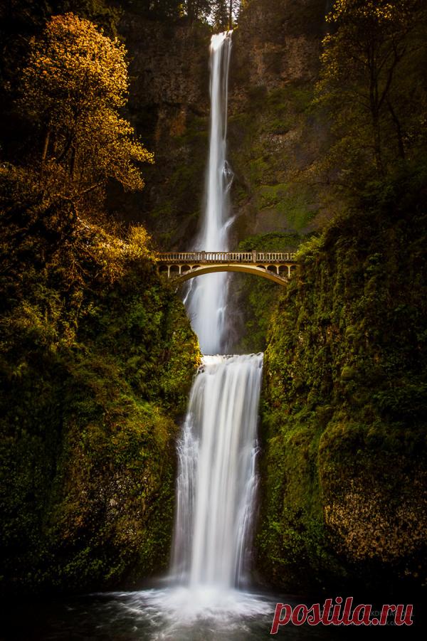 Удивительные мосты, в которых застыли природа и время