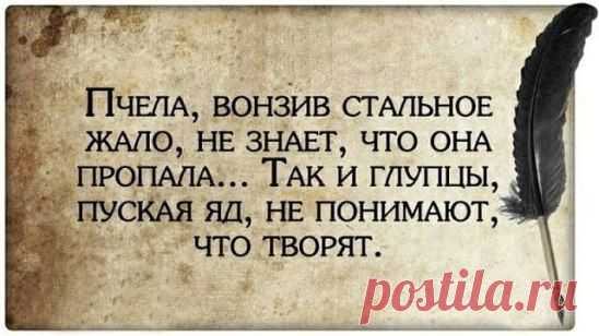 (99) Одноклассники
