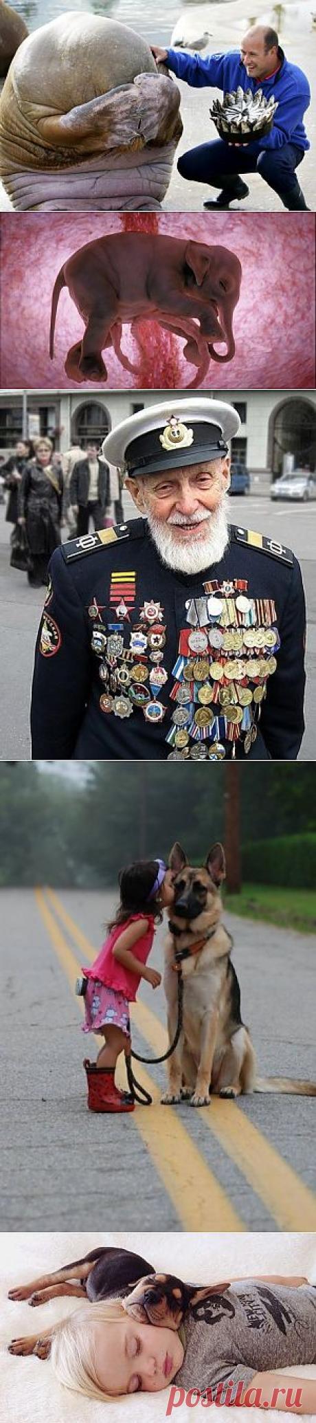 Фотографии со смыслом