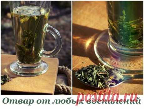 Отвар от любых воспалений