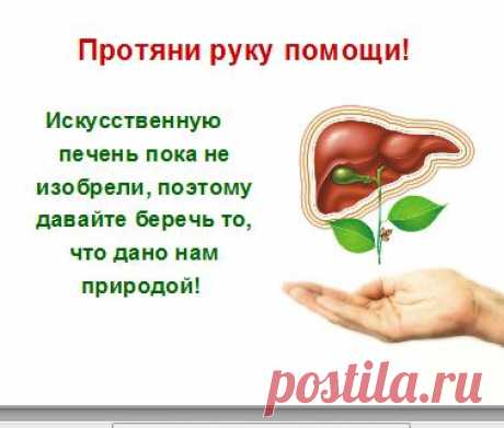 Презентация «Семнадцать мгновений печени».ppt - LibreOffice Impress (64 kb) закачан 19 февраля 2015 г. Joxi