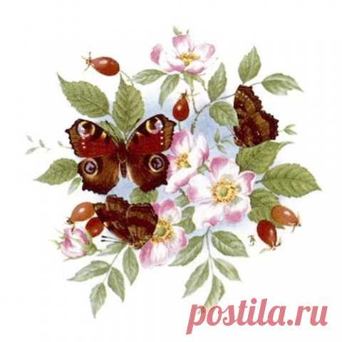 Картинки для декупажа продолжение ))