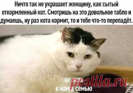 Илья Пикторовъ