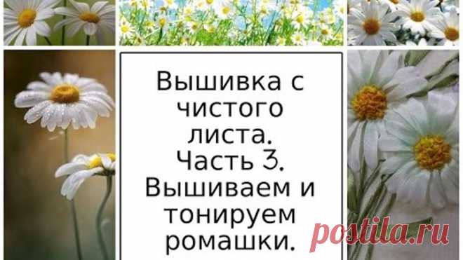 (35) Одноклассники