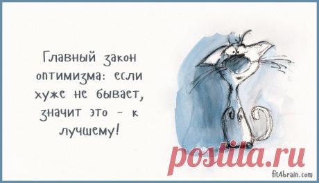 кот