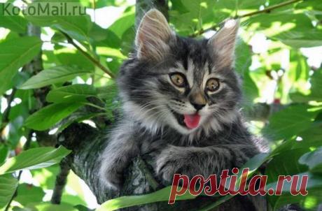 Наслаждаюсь отдыхом