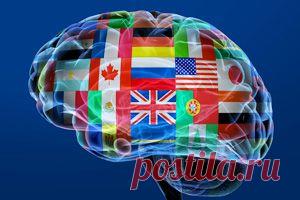 Один язык — хорошо, два — полезнее | Энциклопедия Кругосвет