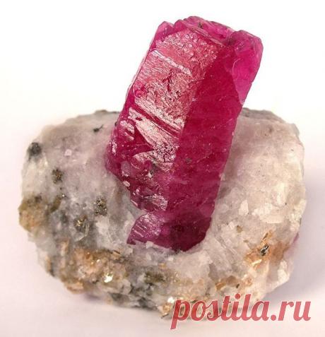 Рубин.
Рубин считается самым дорогостоящим камнем, в древние времена ему по стоимости уступал даже алмаз. Он достойно занимает свое положение среди всех драгоценных камней, относится к минералам, является разновидностью корунда красного цвета. 
В природе не встречаются рубины с одинаковым цветом. Камень играет со всеми оттенками красного. Бывают корунды светло-розовые, малиновые, ярко-красные, красные с фиолетовым отливом, коричневые. 
Самыми ценными считаются драгоценные ...