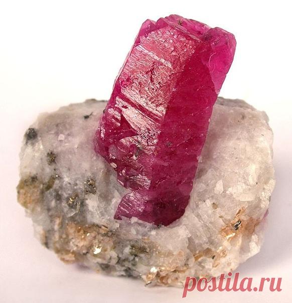 Рубин.
Рубин считается самым дорогостоящим камнем, в древние времена ему по стоимости уступал даже алмаз. Он достойно занимает свое положение среди всех драгоценных камней, относится к минералам, является разновидностью корунда красного цвета. 
В природе не встречаются рубины с одинаковым цветом. Камень играет со всеми оттенками красного. Бывают корунды светло-розовые, малиновые, ярко-красные, красные с фиолетовым отливом, коричневые. 
Самыми ценными считаются драгоценные ...