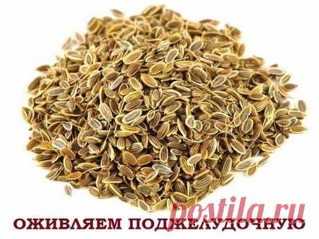 1 непрочитанный чат